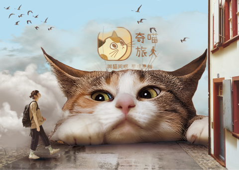 奇妙の旅人